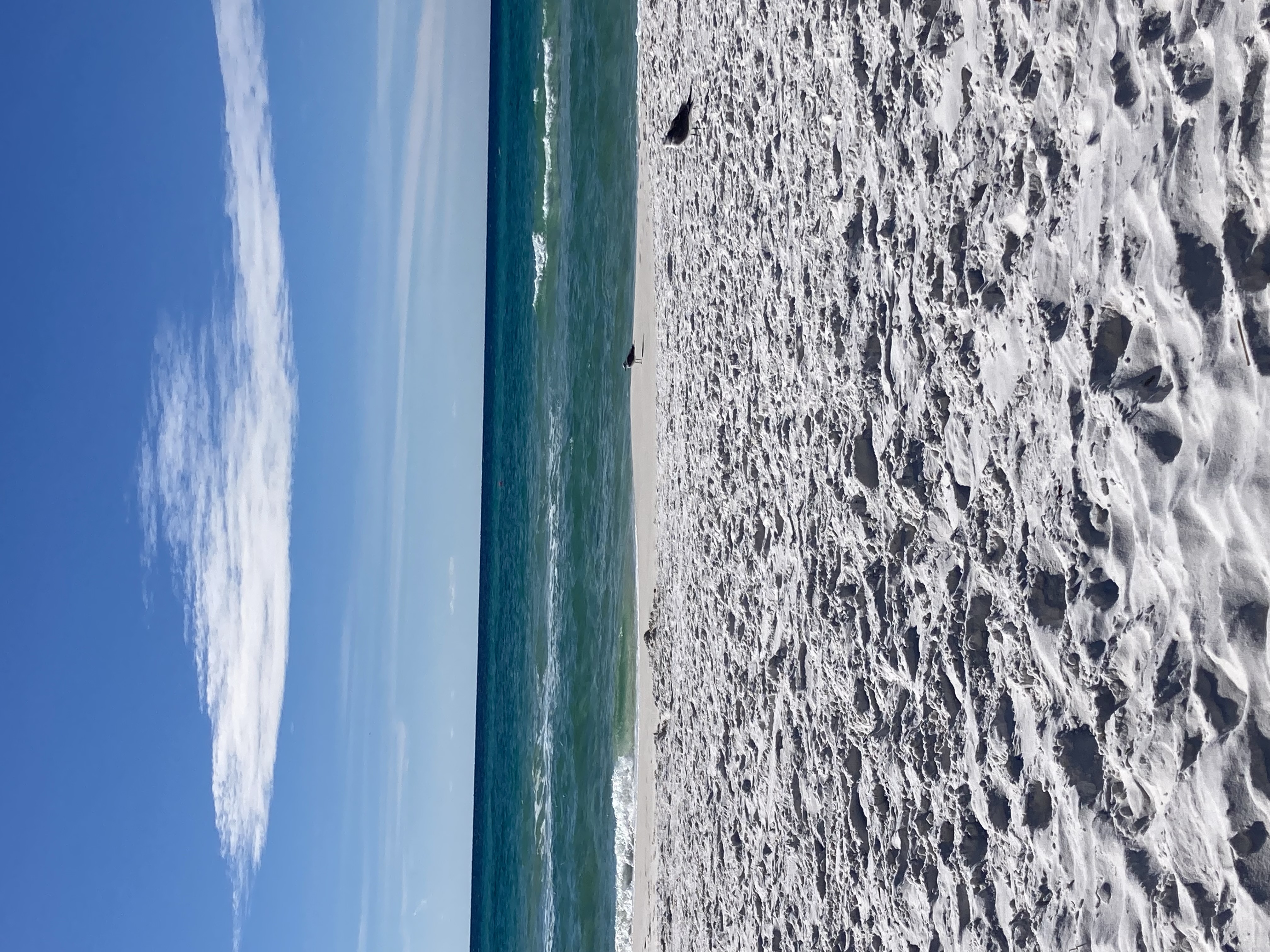 picture of a beach in florida